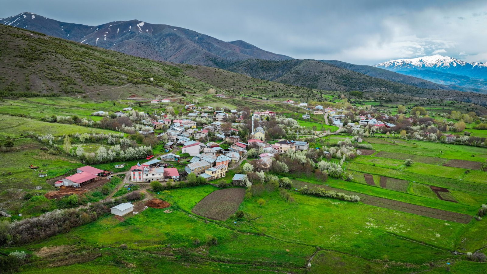 Köy